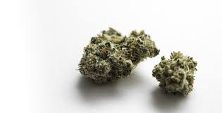 Weed Dispensary Canada Ensuring Safe Purchases and Authentic Selections